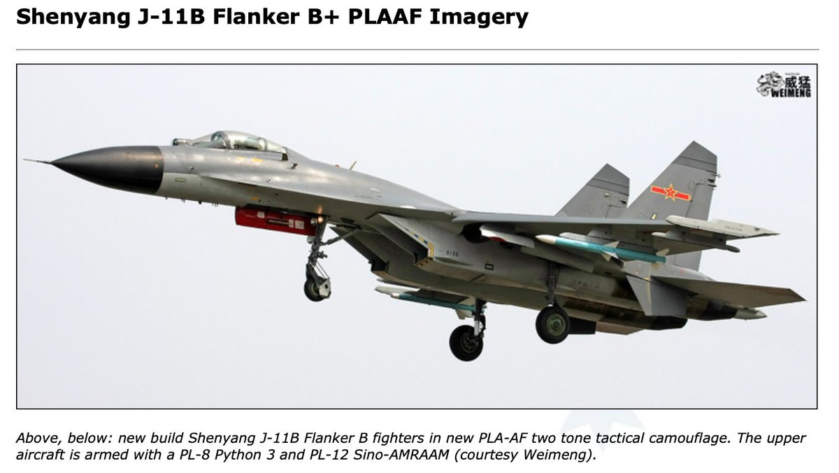 They are even apparently equipped with debris deflectors, which are also found on Chinese versions. http://maybach300c.blogspot.com/2012/11/su-27-flanker.html