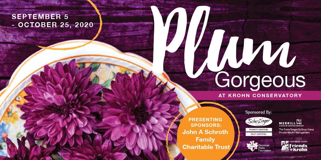 Cincinnati Parks on Twitter: "Mark your calendars for Krohn's fall floral show, Plum Gorgeous, opening Sept. 5! Discover the many traditional autumn plants on display, but in gorgeous shades of purple. You'd