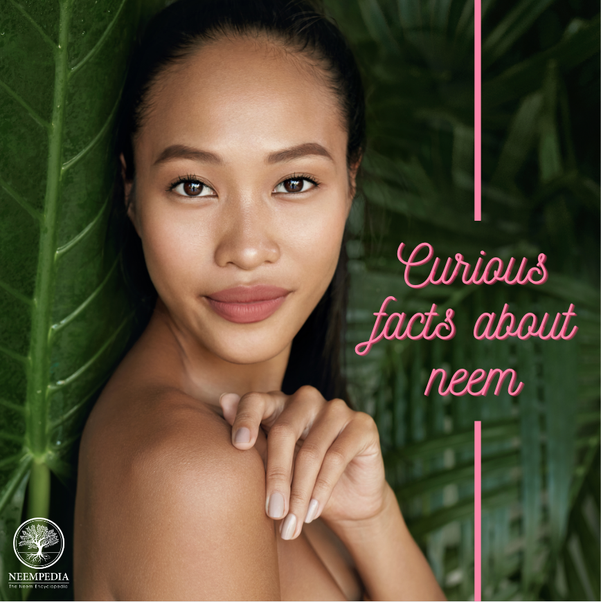 Neempedia's tweet photo. Neem leaves are effective for lightening scars and pigmentation caused by acne, with anti-bacterial properties that work wonders on infections, burns and skin problems. Learn how to treat your skin conditions or superficial injuries in a natural way at https://t.co/MXddAvr93w! https://t.co/hvVfzd2J0m