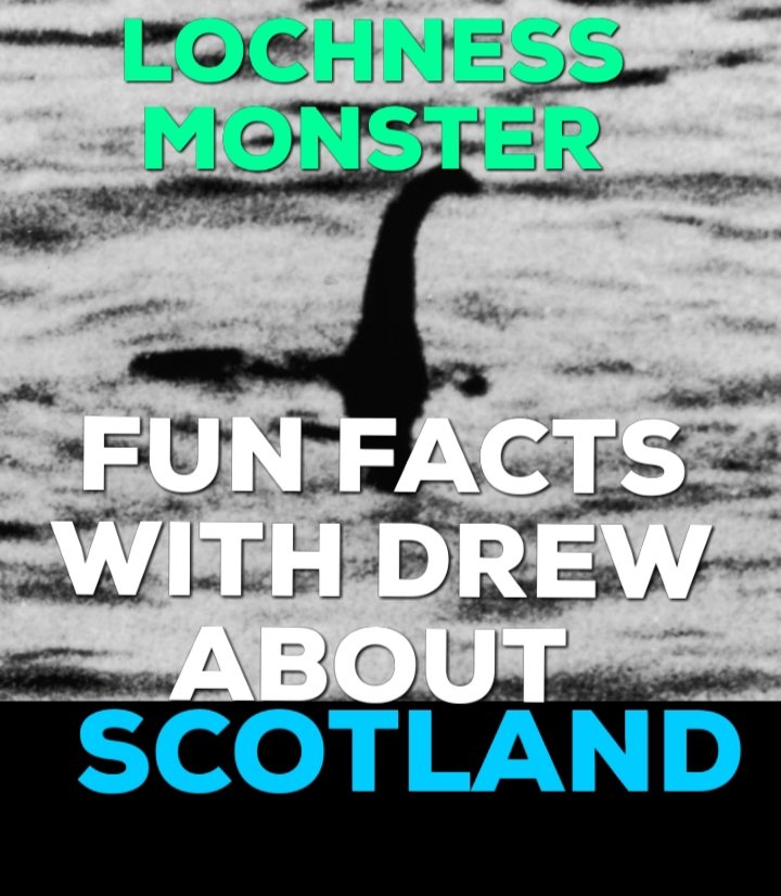 Pauley lane band. tweet media