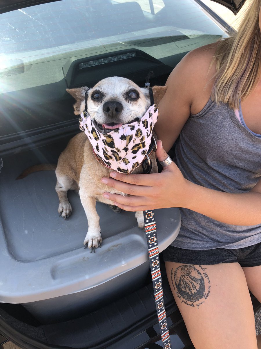 swilson915's tweet photo. Lilly is following all COVID safety procedures while moving her BFF into college #goodbyessuck https://t.co/VJ4v7zswiS