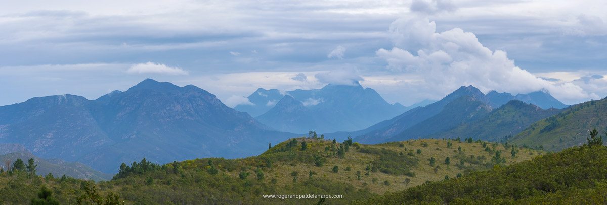 Roger de la Harpe tweet media