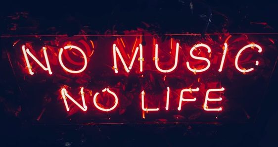 •Iara• tweet media