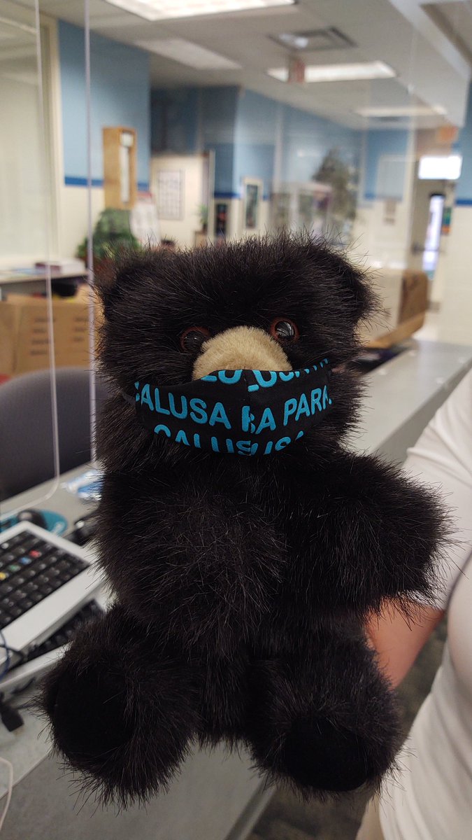blackbearsroar's tweet photo. Blackberry is ready for school to start! @jewiebaum @collierschools @Stacy66925262 https://t.co/odTPsu01ae