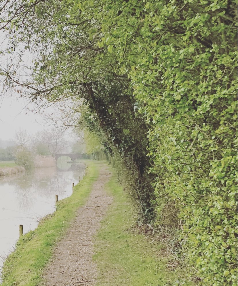 lucy_ot6's tweet photo. Wet, windy and slippery 5k run along the canal #AHPsActive https://t.co/uPYF8frw3G