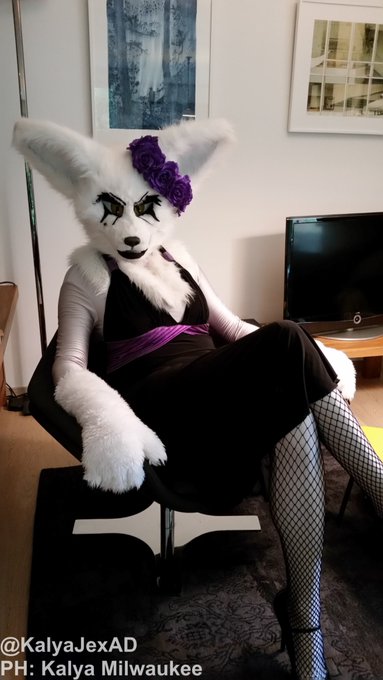 Classy and slutty, this is how Fenfen is ❤️❤️❤️  Please tell me what you do to Fenfen if you could spend<a href="/tag/furry"class="tags"><span>#furry</span></a><a href="/tag/nsfw"class="tags"><span>#nsfw</span></a><a href="/tag/fursuit"class="tags"><span>#fursuit</span></a><a href="/tag/furryfandom"class="tags"><span>#furryfandom</span></a><a href="/tag/softsuit%20"class="tags"><span>#softsuit </span></a>