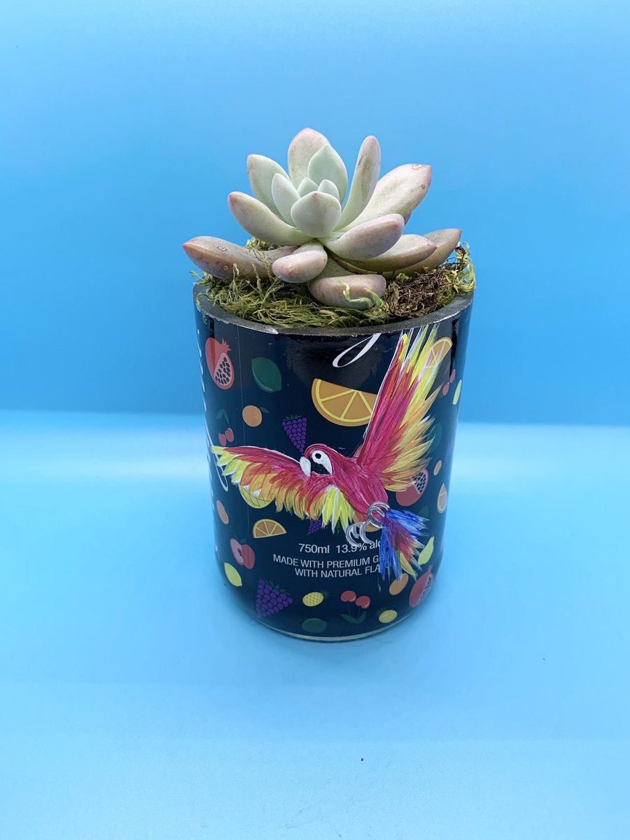 paintplantpour's tweet photo. Succulent planter made from an upcycled wine bottle planter with hand painted parrot. #HandmadeHour https://t.co/Pkg5DRaOXg