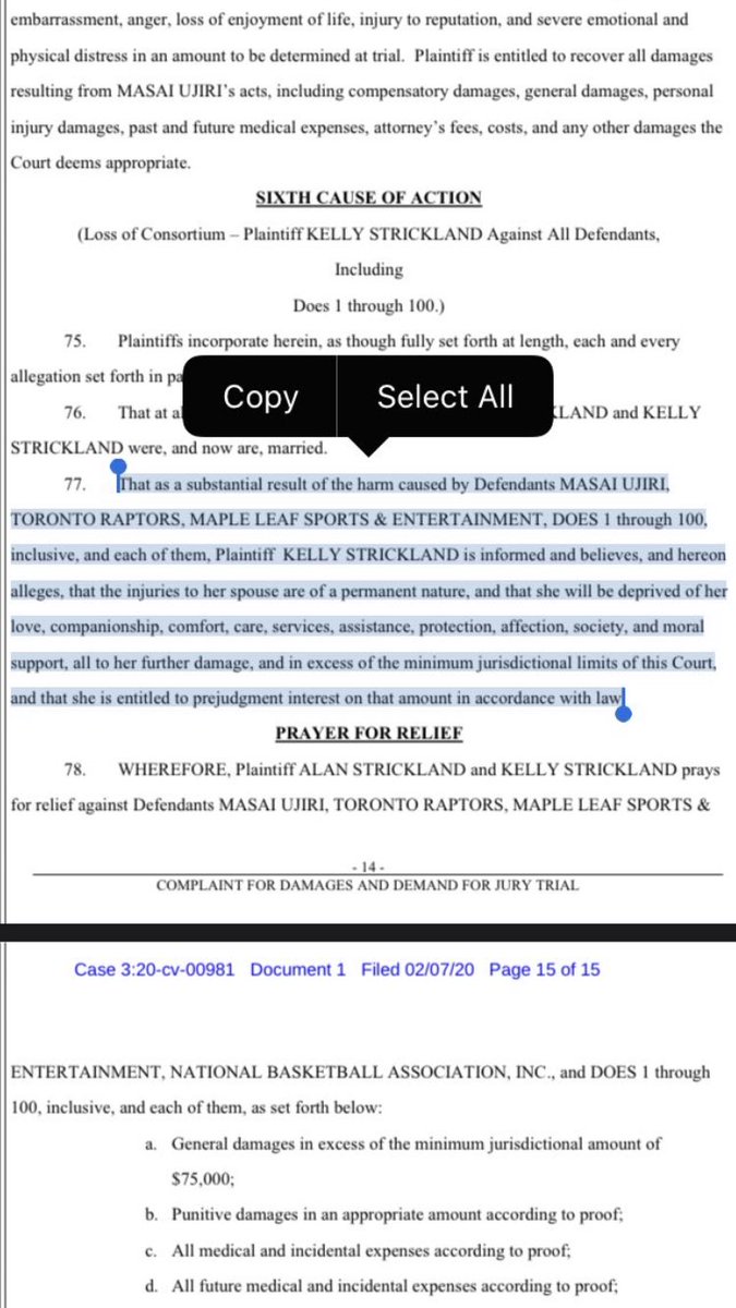 FYI loss of consortium refers to “the loss of the benefits of a family relationship due to injuries. Some more detail on that claim in this photo here, but basically its saying that Masai’s push robbed his wife of his love and affection. Which is just such a reach