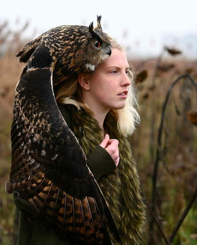 The Best Pictures tweet media