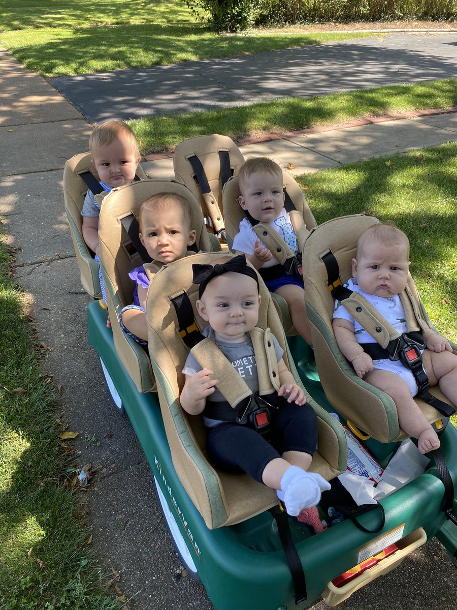 Emily Wieland tweet media