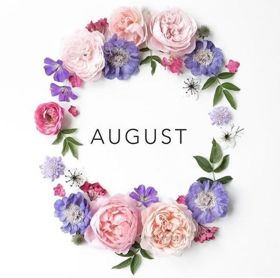 AlishaValerie's tweet photo. ⭐HELLO AUGUST⭐
https://t.co/wJudaIFWMo
@allthoseblogs @ukbloggers1 @lovingblogs #influencerrt #littleblogrt #theclqrt #thegirlgang #livbloggers #fiercebloggers #lbloggers #beechat #teacupclub #cfbloggers #veganbloggers https://t.co/XX2jlkoNke