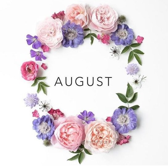 ⭐HELLO AUGUST⭐
alishavalerie.com/2020/08/hello-…

@allthoseblogs @ukbloggers1 @lovingblogs #influencerrt #littleblogrt #theclqrt #thegirlgang #livbloggers #fiercebloggers #lbloggers #beechat #teacupclub #cfbloggers #veganbloggers