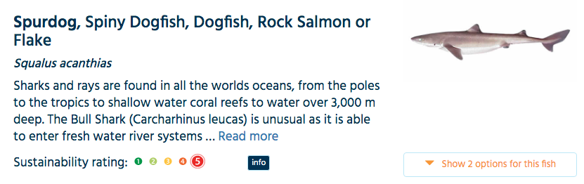 So... some headlines about SPINY DOGFISH. Illegal to catch in Europe. Critically Endangered in NE Atlantic. Females don't breed until they're around teenage. A recent paper found 58% in UK contain plastics. The  @mcsuk list them as a 5 in their Good Fish Guide = "Fish to Avoid".