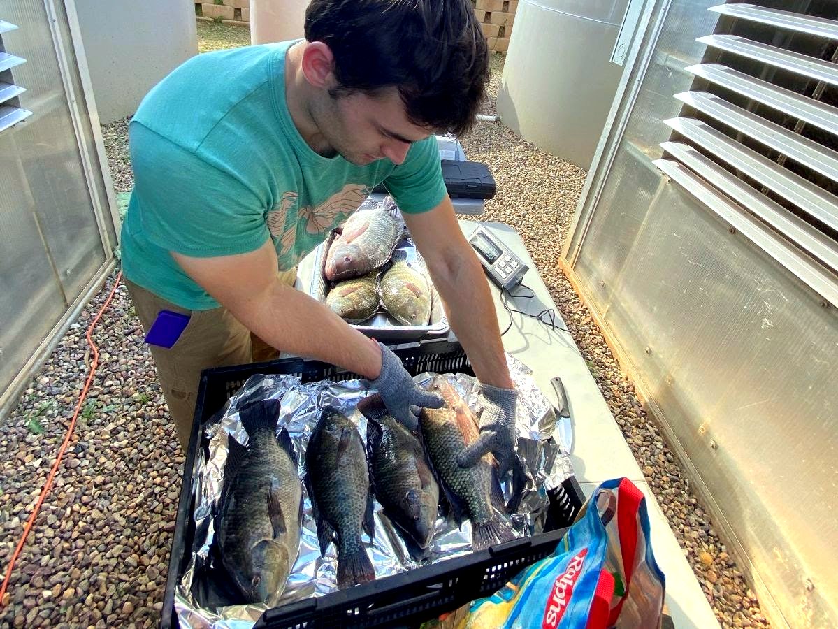 ECOLIFE Conservation tweet media