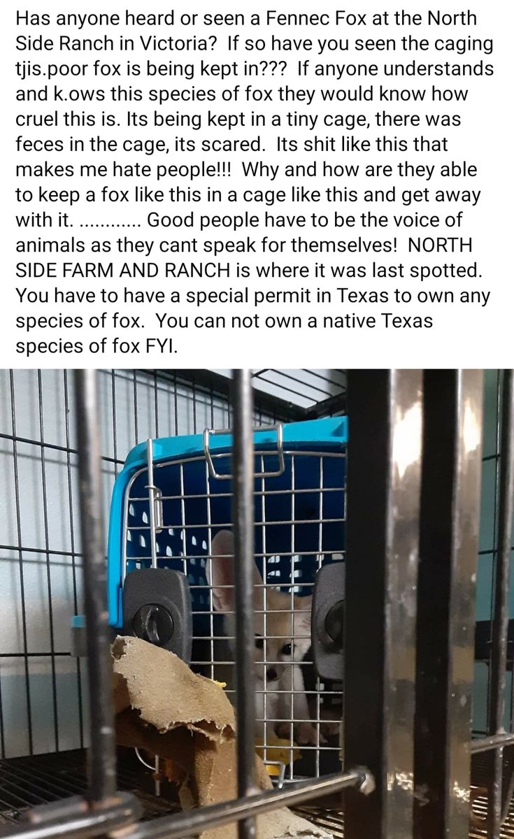 itskimbey's tweet photo. @NorthsideRanch Why is this still happening?? The animals deserve so much better! I'm not sure how you think this kind of treatment is acceptable.  #AnimalAbuse #AnimalCruelty #VictoriaTexas #DoBetter #BeBetter https://t.co/w0tstk09SV