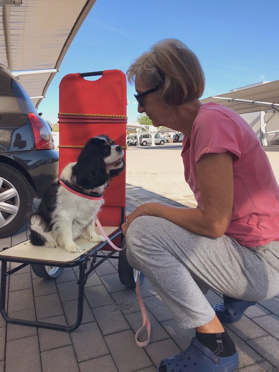 dolceSally's tweet photo. Here I am! 🤗🤗🤗
I spent a wonderful day at #Sottomarina beach #InDiga 🏖☀️🌊 First thing to do when you arrive at the park: pack all the things (3 big umbrellas ⛱⛱⛱, the sunbeds, the cooler bags, etc...) on the beachy carts! 👍👍👍 https://t.co/5TVCWpiwlh