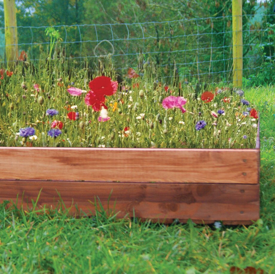 3) Wildflower gardens (long live the bees)