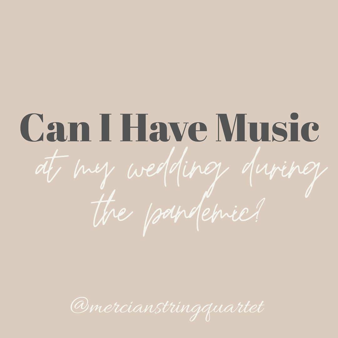 MercianStringQuartet tweet media