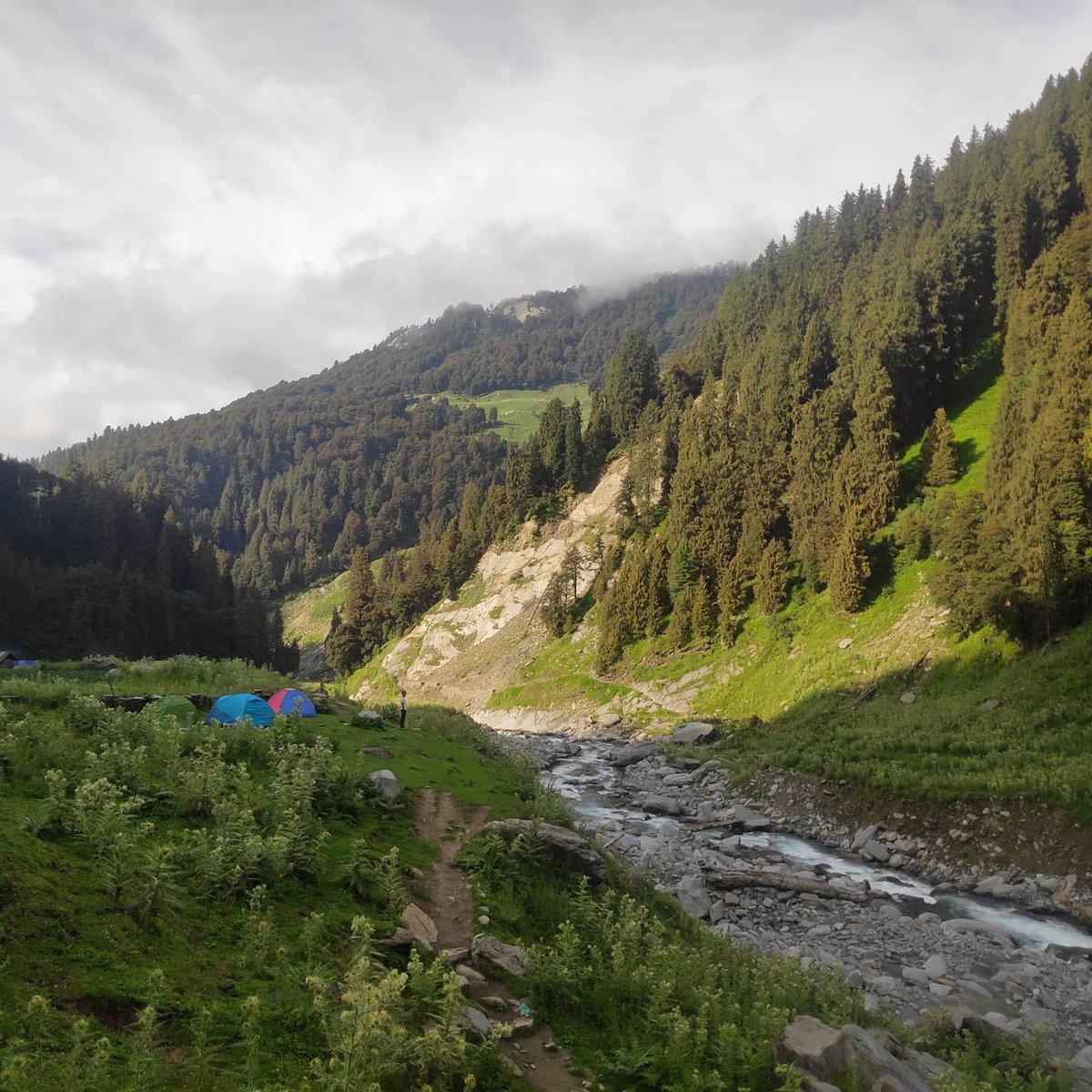 akshitgaur_'s tweet photo. Billing - Plachak , One of the most beautiful trek that I've done till now. Plachak - small valley on the way to Bada bhangal along Uhl river (originates from Thamsar Glacier - Dhauladhar). Covered a total walking distance of 41 kms during the whole trek! @hp_tourism @Quechua https://t.co/x4JOYEEUUC