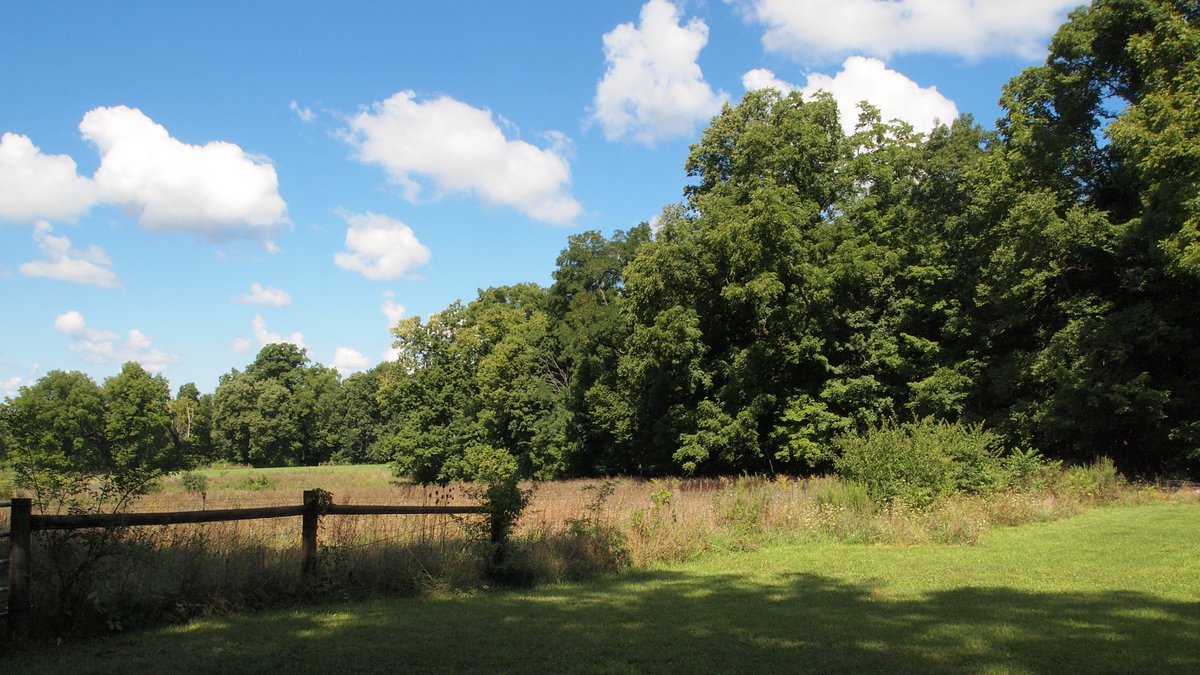August is beautiful at Aullwood! Come out and enjoy it during our extended summer hours, now through August 31st. We will be open until 7 PM 7 a week through the end of the month. [Photo: Ken Fasimpaur] #AullwoodAudubon #summer #daytonohio