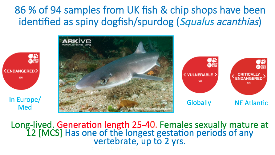 If you buy cod or haddock, chances are that's what you'll get BUT order rock salmon, rock eel, rigg, dogfish, huss or flake and you'll be eating any one of 47 sharks! That's  @DefraGovUK's doing. There is, based on 94 DNA samples, an 86% chance you're eating Spiny Dogfish.