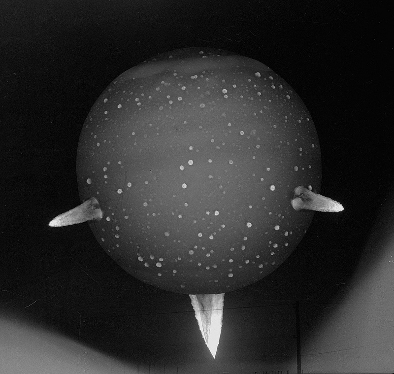'Atomic spikes': the Priscilla shot from Operation Plumbbob