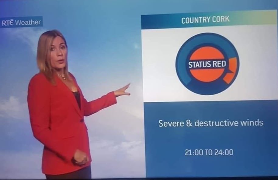 Tomas Mulcahy tweet media