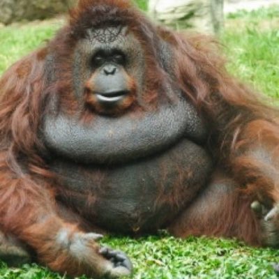 dudebazz's tweet photo. #NouvellePhotoDeProfil https://t.co/tFmZ038xec