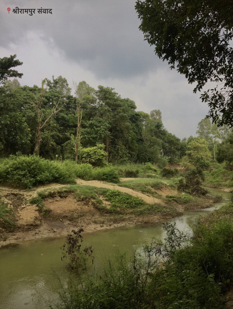 बारिश के बाद श्रीरामपुर के जंगल की सुंदरता देखते बनती है। 

श्रीरामपुर संवाद।

#GreenHaiBihar #rural #sitamarhi #Shrirampursamvad #bihar #JaljeevanHariyali