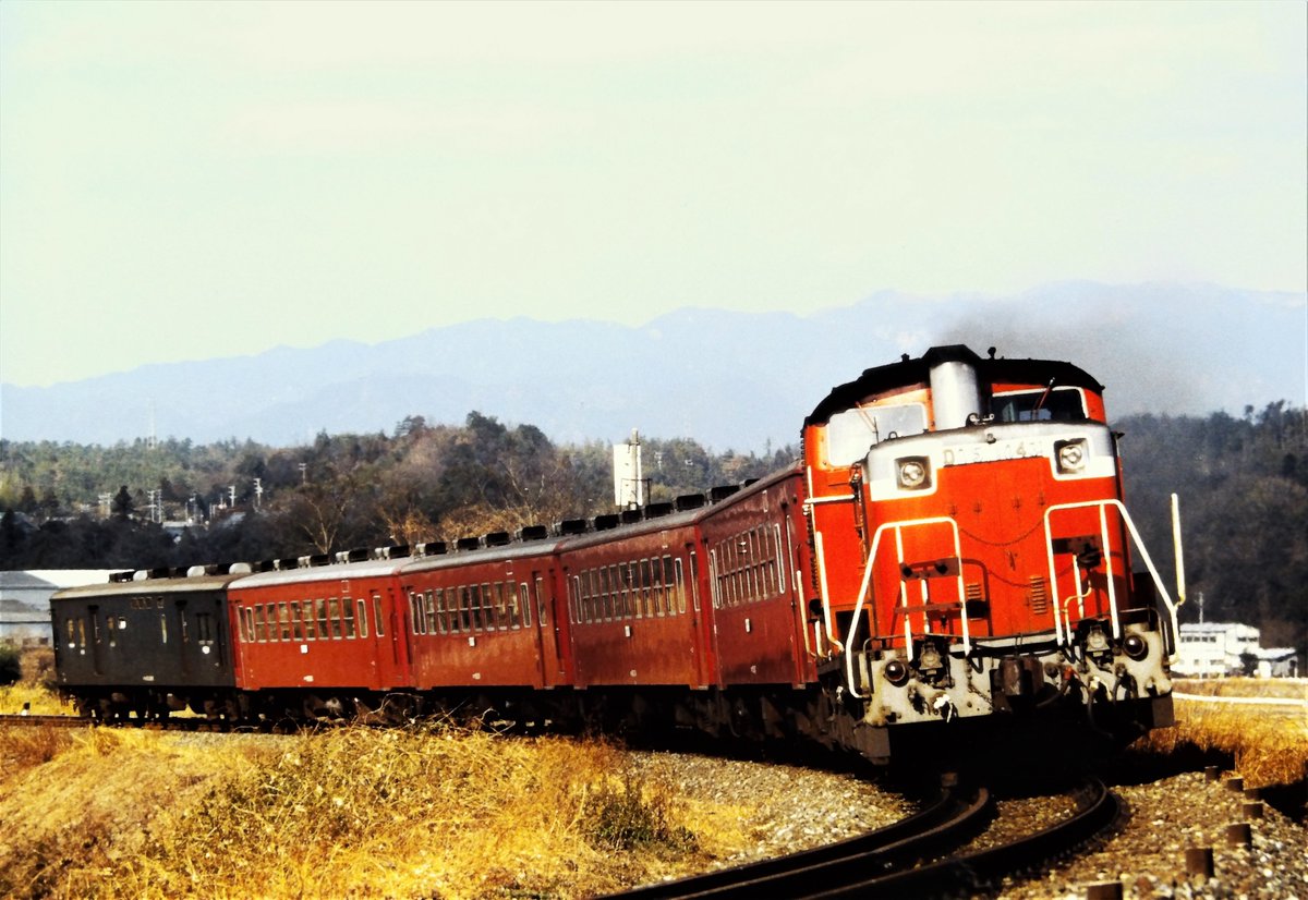 レール＆フラワー とも♂ on X