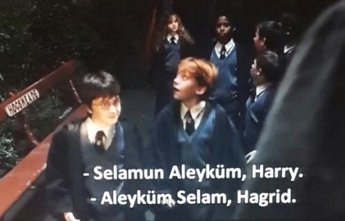 timo77lol's tweet image. 