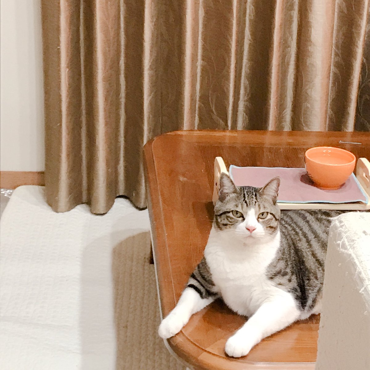 悲しいとき Twitter Search