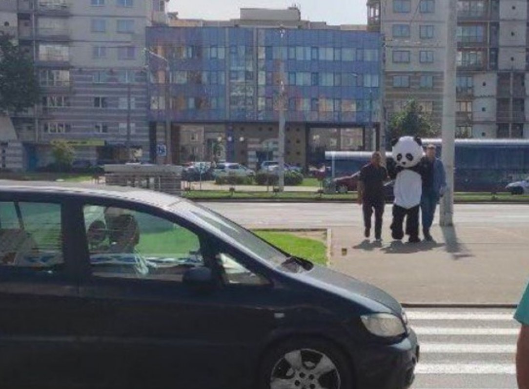 Reportedly, a man in a panda costume was detained on Independence Avenue in Minsk. Most likely, the police considered Panda's appearance as the protest against Lukashenka. Now, in principle, everything is the protest :)