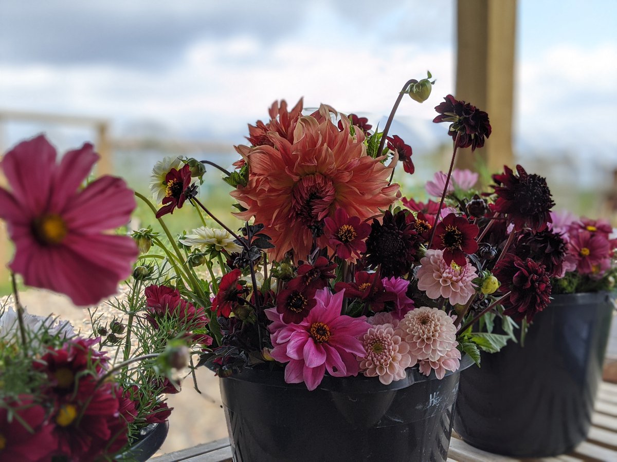 Heckfield Place tweet media