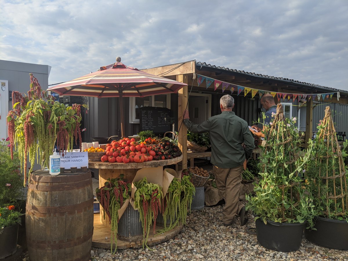 This Saturday 5 (as well as Sept 19) the Home Farm will be offering up its delectable produce for you to buy and try... cakes, flowers and other lovely things also available! Tickets at fromhomefarm.com