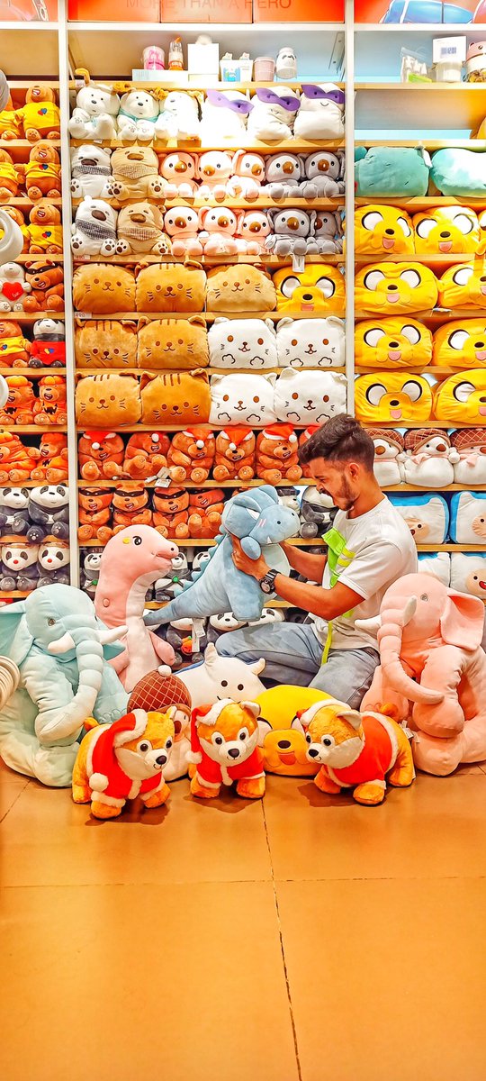 Miniso Plush - Amazon Com Miniso Long Shiba Plush Toy Stuffed Animal Plushies Doll Gift Pillow