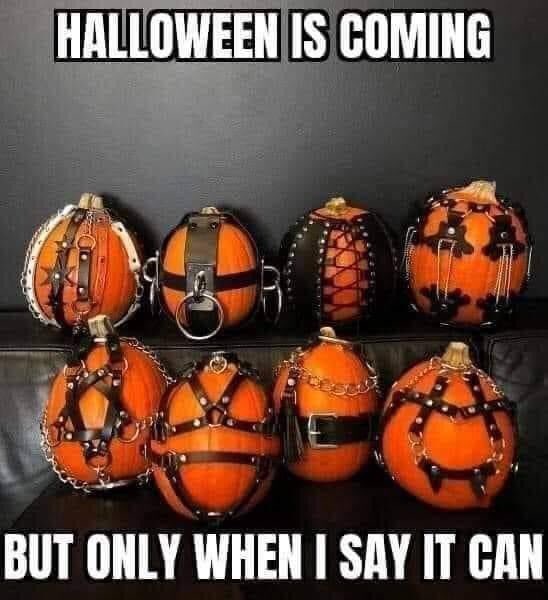 Halloween is my fave holiday https://t.co/A9mJu4VWpF