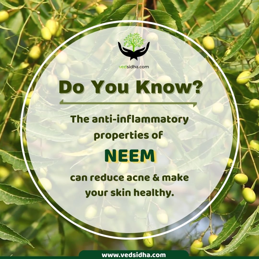 #DoYouKNow? 𝐍𝐞𝐞𝐦 promotes wound #healing and makes your skin healthy. It also has anti-inflammatory properties that reduce #acne.

Inquire More: 🌏 vedsidha.com

#ayurvedacare #ayurvedicsupplements #vedsidha
#skincare