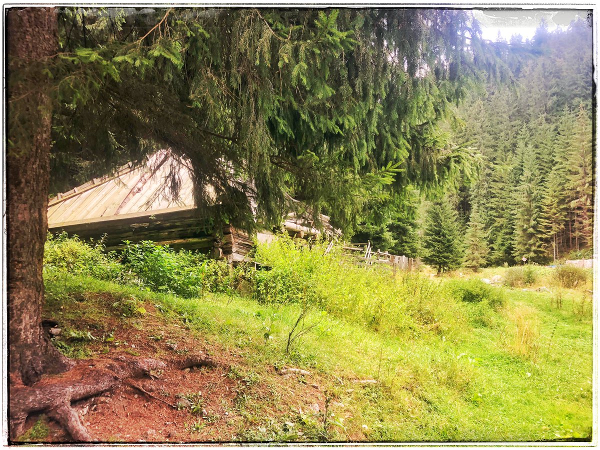 EuropeGenesys's tweet image. După urieșul 33 💙💛❤  bit.ly/urieșul33 regăsim pe #CheileJIEȚULUI #cabana pădurarilor mai mult ca sigur folosită în #transhumanță și de momârlanii din acest ținut ancestral 🐑 povestea-locurilor.ro/Povestea-Trans… 🐑 #reSTARTValeaJIULUI