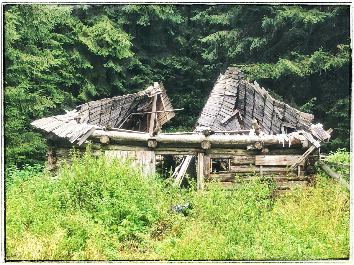 EuropeGenesys's tweet image. După urieșul 33 💙💛❤  bit.ly/urieșul33 regăsim pe #CheileJIEȚULUI #cabana pădurarilor mai mult ca sigur folosită în #transhumanță și de momârlanii din acest ținut ancestral 🐑 povestea-locurilor.ro/Povestea-Trans… 🐑 #reSTARTValeaJIULUI