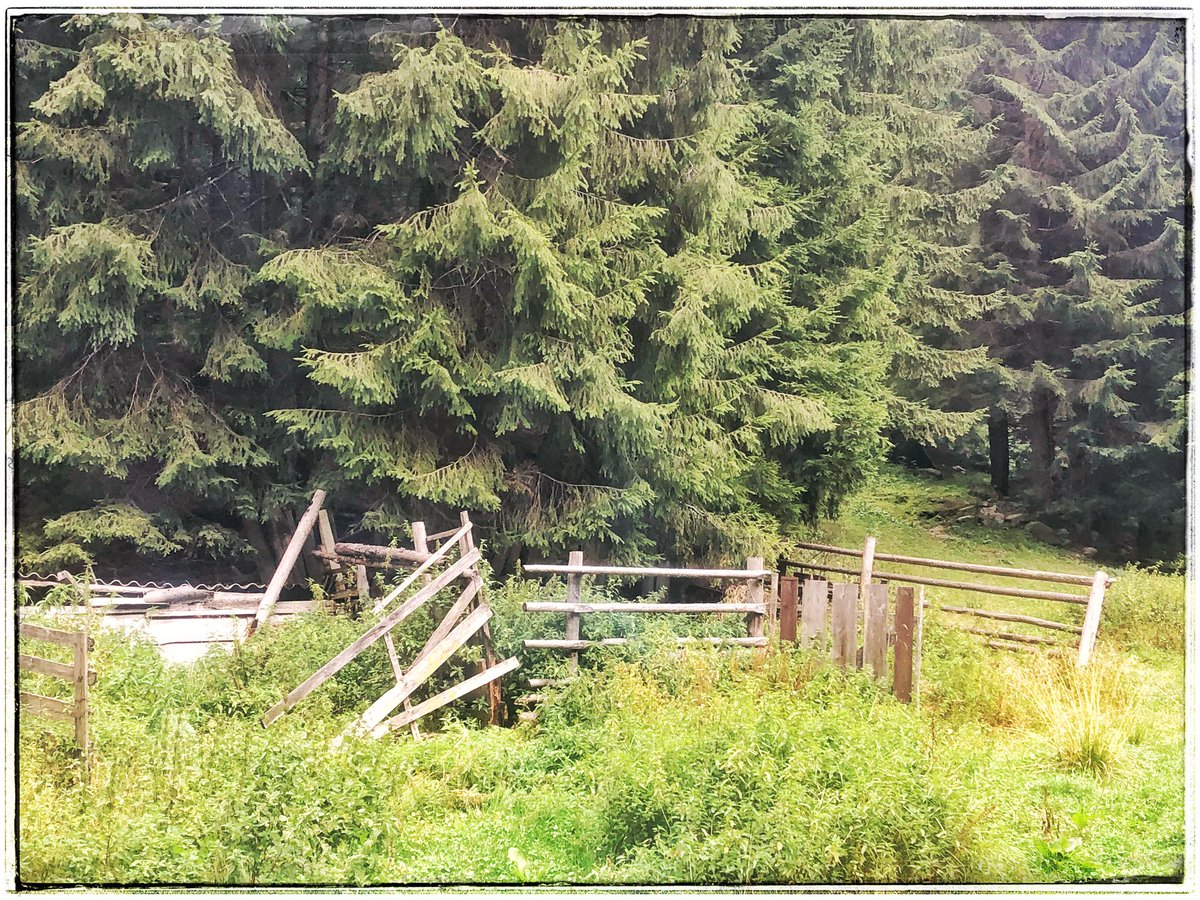 EuropeGenesys's tweet image. După urieșul 33 💙💛❤  bit.ly/urieșul33 regăsim pe #CheileJIEȚULUI #cabana pădurarilor mai mult ca sigur folosită în #transhumanță și de momârlanii din acest ținut ancestral 🐑 povestea-locurilor.ro/Povestea-Trans… 🐑 #reSTARTValeaJIULUI