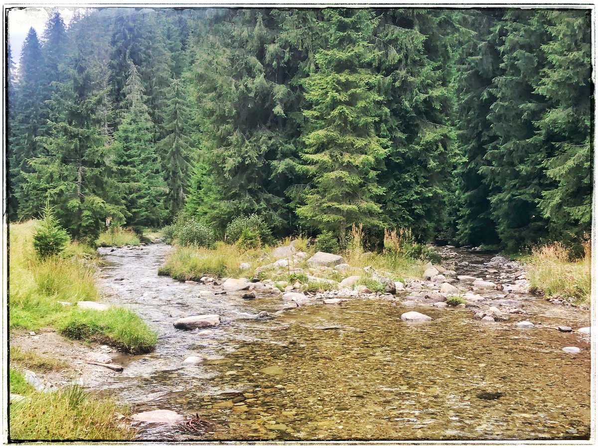 EuropeGenesys's tweet image. După urieșul 33 💙💛❤  bit.ly/urieșul33 regăsim pe #CheileJIEȚULUI #cabana pădurarilor mai mult ca sigur folosită în #transhumanță și de momârlanii din acest ținut ancestral 🐑 povestea-locurilor.ro/Povestea-Trans… 🐑 #reSTARTValeaJIULUI