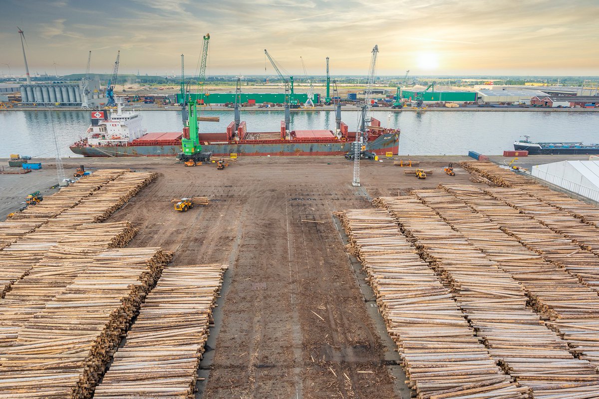 VesselFinder's tweet image. Unique log handling concept at the port of Antwerp (Video)
vesselfinder.com/news/18989-Uni… #PSAAntwerp #PSABreakbulk #LogHandling #AntwerpPort #ChurchillTerminal