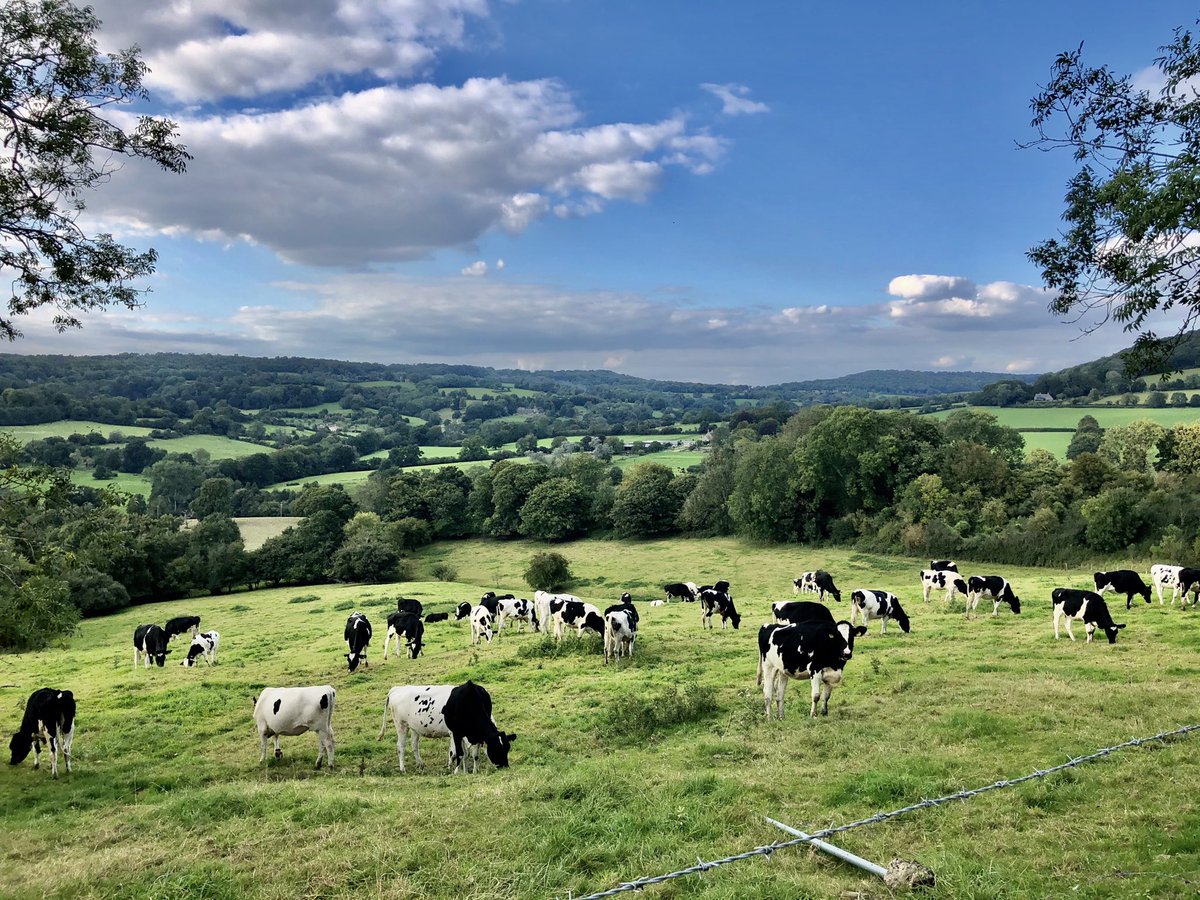 Wish you all a wonderful Thursday!

Cotswolds, UK