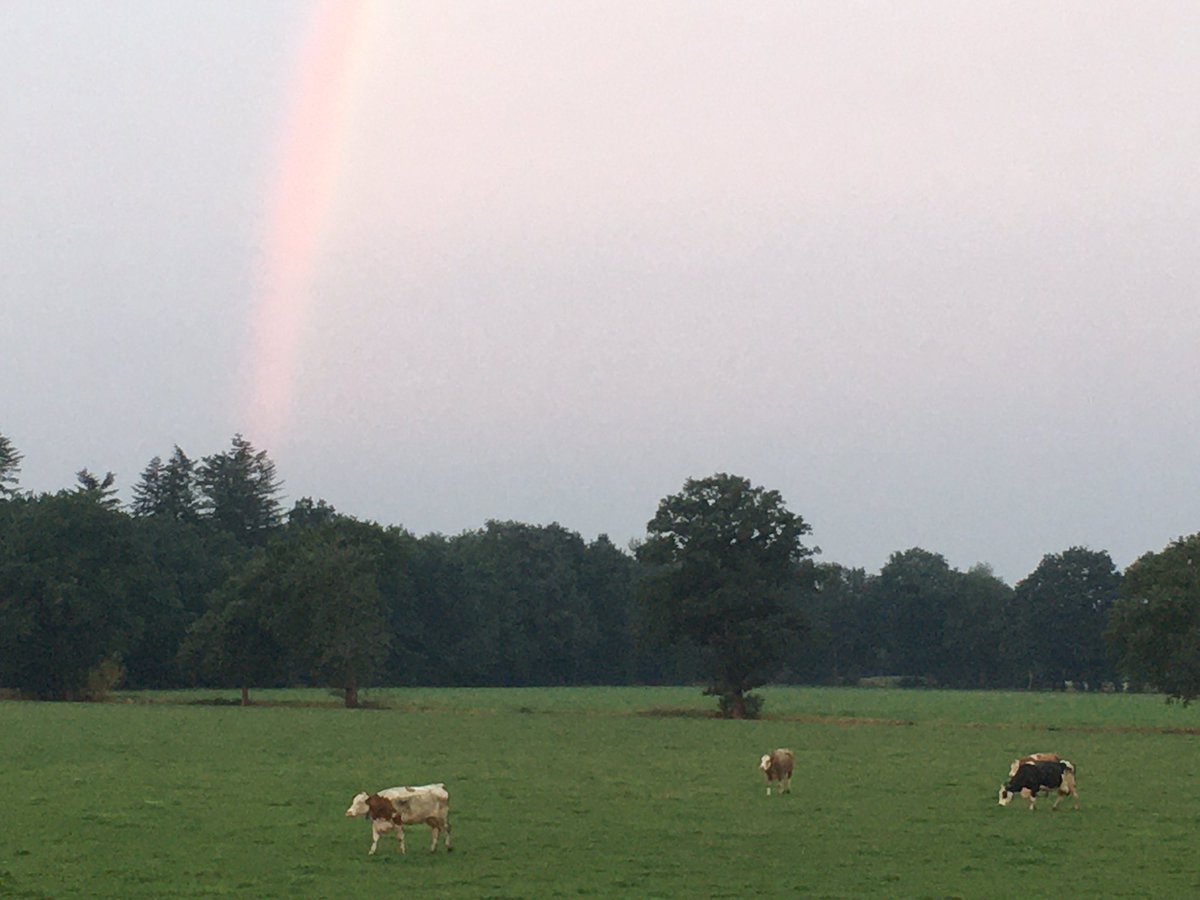 De natuur bezorgde ons vandaag heel even dit #geluksmomentje. Een 🌈 die zo groot was dat de boog bijna verticaal leek. Goedemorgen!