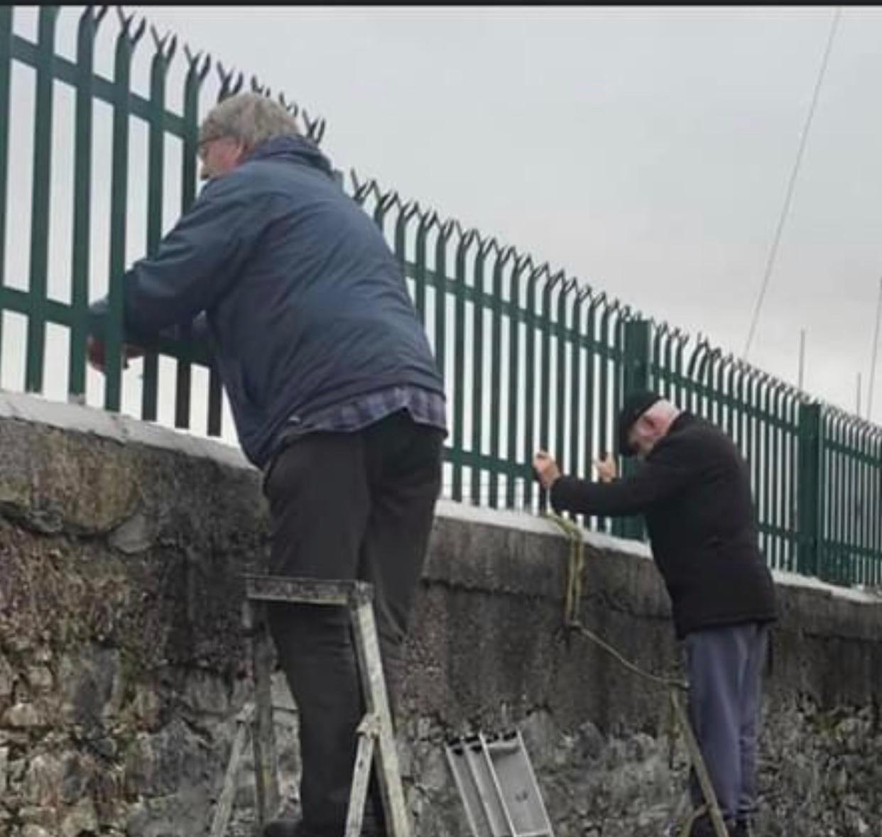 Neil Prendeville on Twitter: "80 YEAR OLD FORCED TO WATCH GAA MATCH UP ON A LADDER -Cork man Eddie Twohig who is 80 years of age was forced to watch his beloved