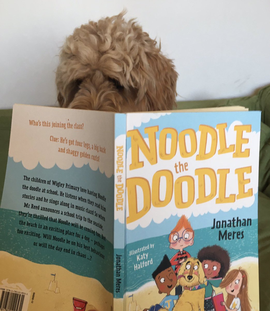 JonathanMeres's tweet photo. Like a billion other authors, I have a new book out today. Mine is called Noodle the Doodle. Illustrations by the fantastic @KatyHalford1 & published by the groundbreaking @BarringtonStoke Here is a photo of my dog reading it. Thank you for not scrolling past this tweet. https://t.co/VpcRNaZ4FB