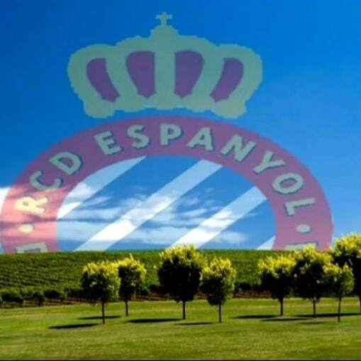 masespanyol's tweet photo. Bon día, amanece que no es poco. @rcdespanyol #rcde #rcdespanyol #laliga #fcf_cat #somosrfef #gencat #laligasports #catalunyaexperience #culturagob https://t.co/MQ0ZJi9U1A