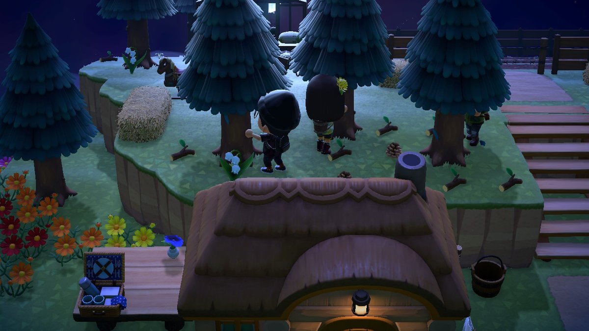 waz_aldo's tweet photo. pinecone farming #AnimalCrossing #ACNH #NintendoSwitch https://t.co/doIj1qeLdh