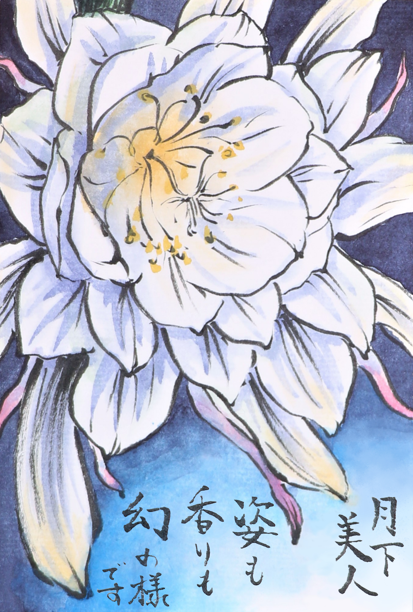 快適art絵手紙 夏に描いた花たち 月下美人は大好きなお花で十八番なんです ポーチュラカとサルビアは園芸で植えたいなーと思ったお花 Youtubeの描き方解説動画 月下美人https T Co Wka6molhzt サルビアhttps T Co Yiykknghbd ポーチュラカhttps T Co